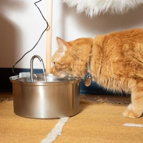 files/imgi_125_KittySpout-MFM0300-Stainless-Steel-Cat-Water-Fountain-3-2L-108oz-Durable-Quiet-Easy-to-Clean_2d93f8ae-dd95-4a9c-83ff-7c424ca2fbba.ece1fe3a09d682456ccdd2414885d7ae.jpg
